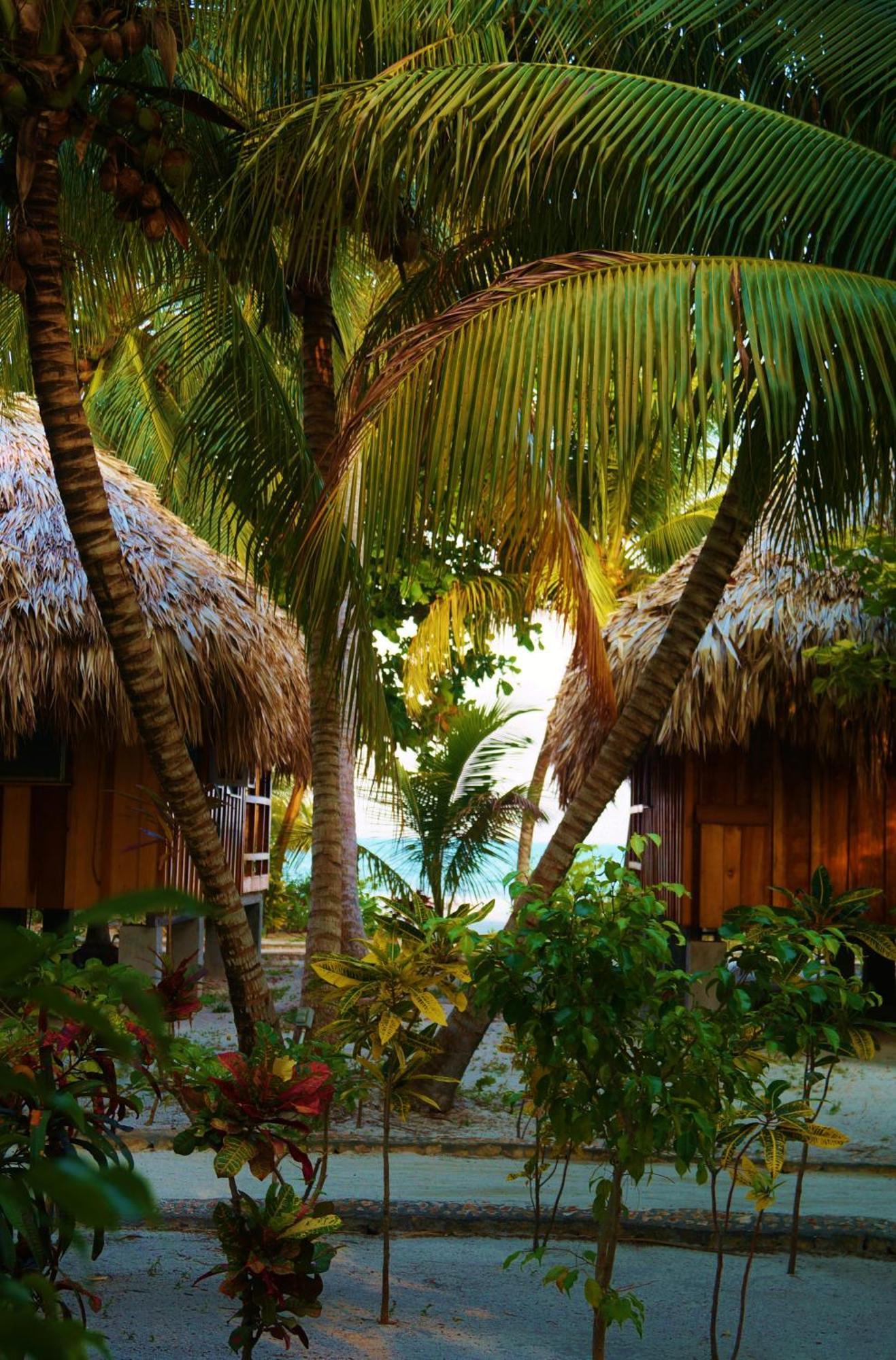St. George'S Caye Resort Belize City Pokój zdjęcie